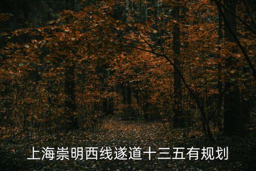 上海崇明西線遂道十三五有規劃