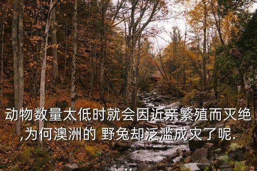 動物數(shù)量太低時就會因近親繁殖而滅絕,為何澳洲的 野兔卻泛濫成災(zāi)了呢...