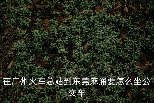 在廣州火車總站到東莞麻涌要怎么坐公交車