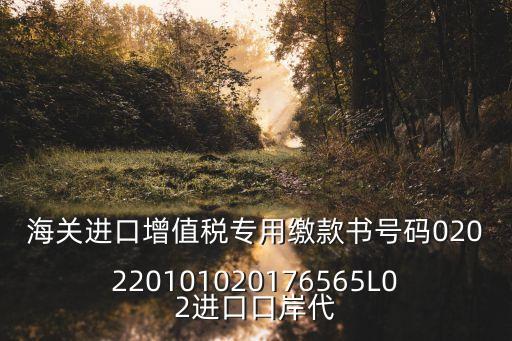 海關(guān)進口增值稅專用繳款書號碼020220101020176565L02進口口岸代