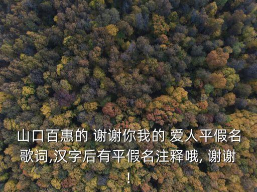 山口百惠的 謝謝你我的 愛人平假名歌詞,漢字后有平假名注釋哦, 謝謝!