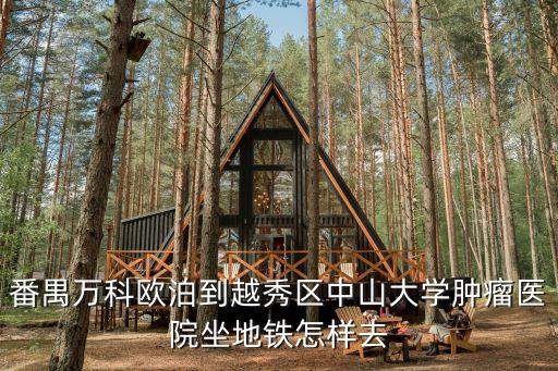番禺萬科歐泊到越秀區中山大學腫瘤醫院坐地鐵怎樣去