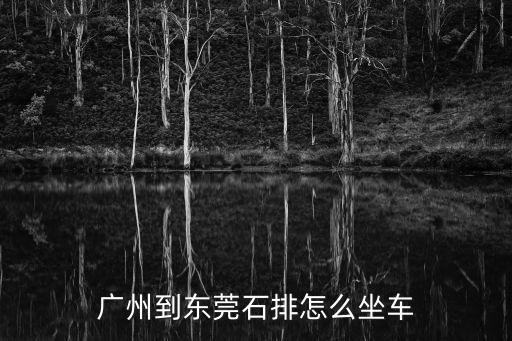 廣州到東莞石排怎么坐車