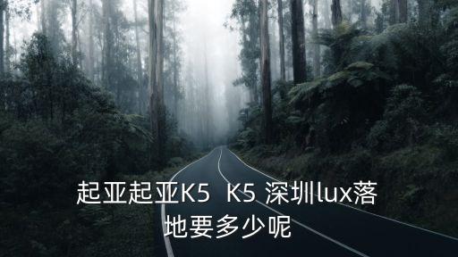 起亞起亞K5  K5 深圳lux落地要多少呢
