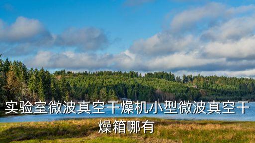 實驗室微波真空干燥機小型微波真空干燥箱哪有
