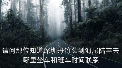 深圳丹竹頭愿者上鉤電話號(hào)碼，深圳丹竹頭汽車(chē)站客服電話是多少
