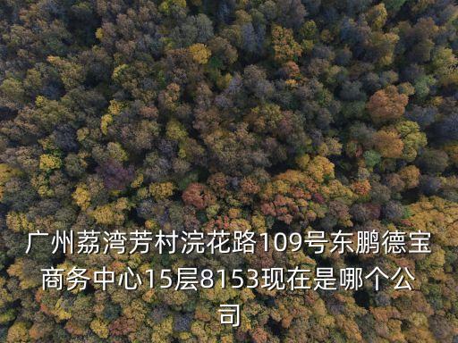 廣州荔灣芳村浣花路109號東鵬德寶商務中心15層8153現在是哪個公司