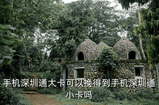 手機深圳通大卡可以換得到手機深圳通小卡嗎