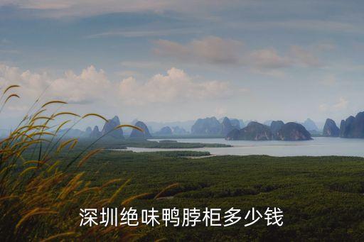 深圳絕味鴨脖柜多少錢