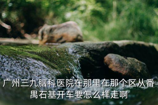 廣州三九腦科醫院在那里在那個區從番禺石基開車要怎么樣走啊