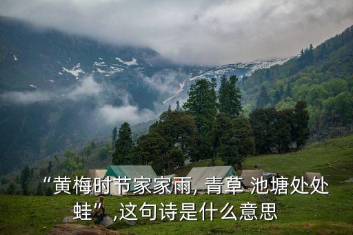 青草池塘處處蛙
