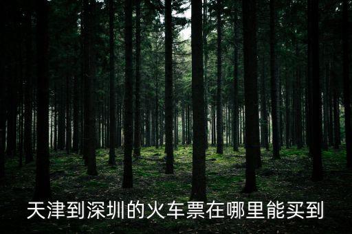 天津到深圳的火車票在哪里能買到