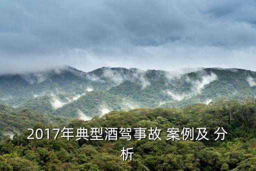 交通事故案例分析