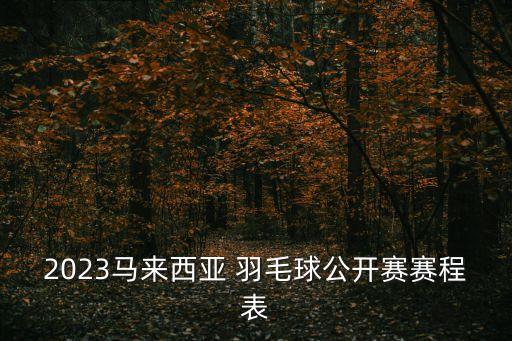 馬林羽毛球