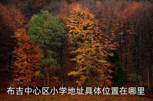 布吉中心區(qū)小學(xué)地址具體位置在哪里