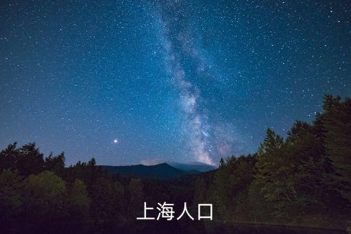 上海人口