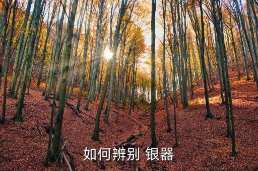 銀器,如何用純銀壺鑒別古董收藏品?
