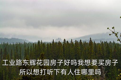 工業(yè)路東輝花園房子好嗎我想要買房子所以想打聽下有人住哪里嗎