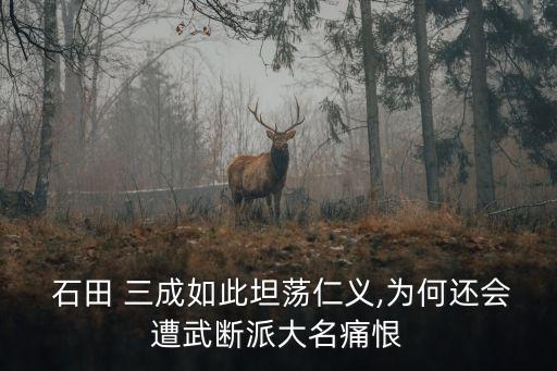  石田 三成如此坦蕩仁義,為何還會遭武斷派大名痛恨