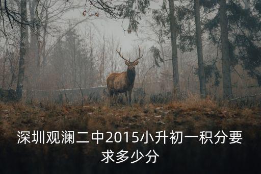 深圳羅湖區小學積分，深圳龍崗只繳上醫保入學有積分加嗎