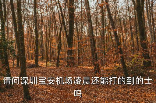 現(xiàn)在深圳機場有的士嗎，深圳機場夜里2400還有出租車嗎乘出租車到深圳澤嵐酒店黃貝嶺