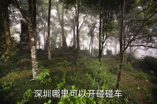 深圳哪有成人碰碰車(chē)可以玩的，深圳哪里玩碰碰車(chē)好玩又便宜成年人