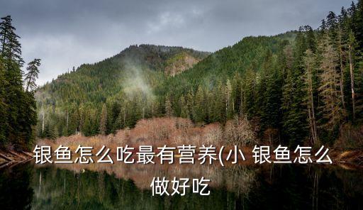 小銀魚,小銀魚干的做法