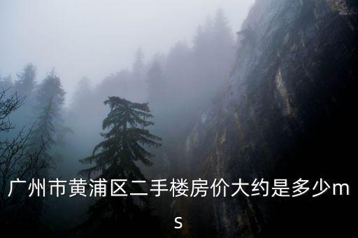 廣州市黃浦區二手樓房價大約是多少ms
