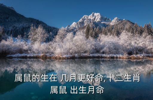  屬鼠的生在 幾月更好命,十二生肖 屬鼠 出生月命