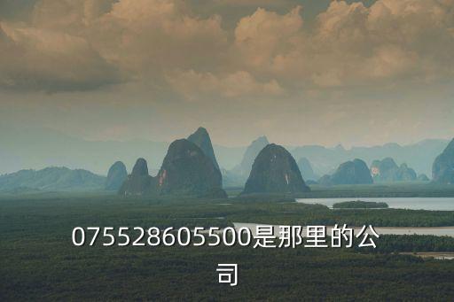 075528605500是那里的公司