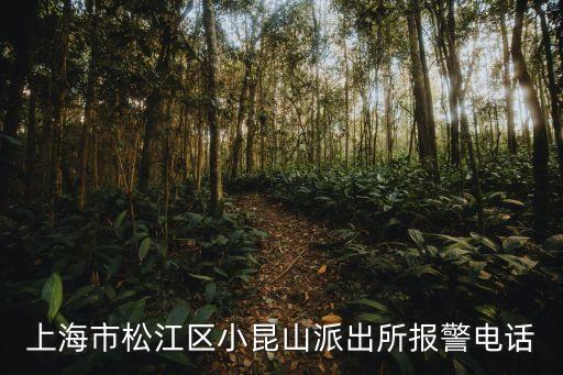 上海市松江區(qū)小昆山派出所報警電話