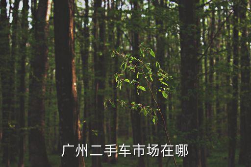 廣州二手捷達場在哪，廣州比較集中的二手車市場在哪地址詳細點謝謝謝謝了大神幫忙