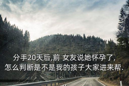 分手20天后,前 女友說她懷孕了,怎么判斷是不是我的孩子大家進來幫...