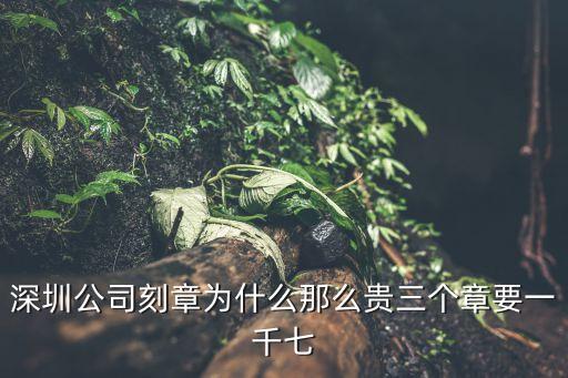 深圳創業印章待遇，請問深圳南山科技園附近比較大的那個刻公章公司叫什么名字在深