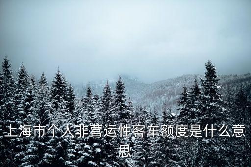 上海市個人非營運性客車額度是什么意思