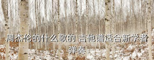 蒲公英的約定吉他