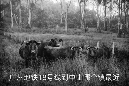 廣州地鐵18號線到中山哪個鎮最近
