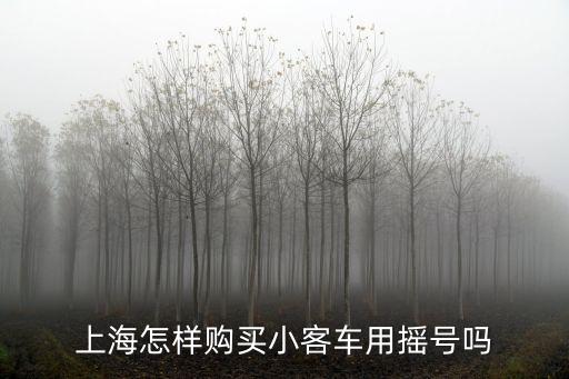 上海怎樣購買小客車用搖號嗎