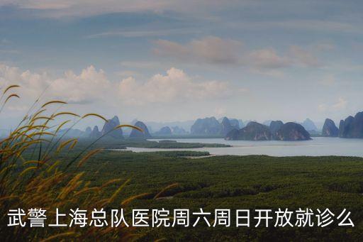 武警上?？傟?duì)醫(yī)院周六周日開放就診么