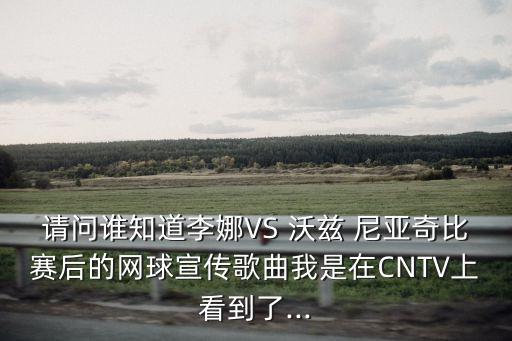 沃茲尼亞奇,沃茲尼亞奇和納達(dá)爾是情侶嗎?