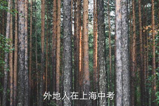 外地人在上海中考