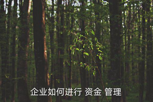 企業(yè)如何進(jìn)行 資金 管理