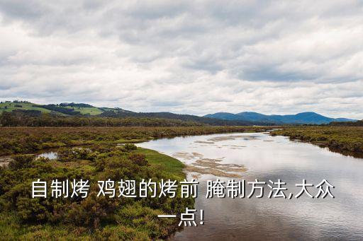 自制烤 雞翅的烤前 腌制方法,大眾一點!