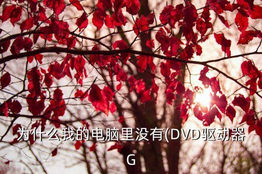 光驅驅動程序,光驅讀不出光盤怎么辦?可用驅動精靈修復