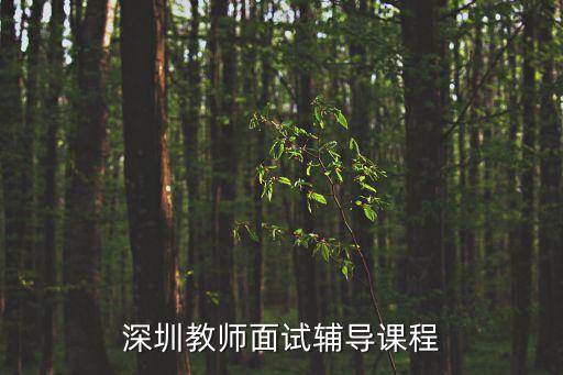 深圳教師面試輔導課程