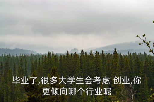 畢業(yè)了,很多大學生會考慮 創(chuàng)業(yè),你更傾向哪個行業(yè)呢