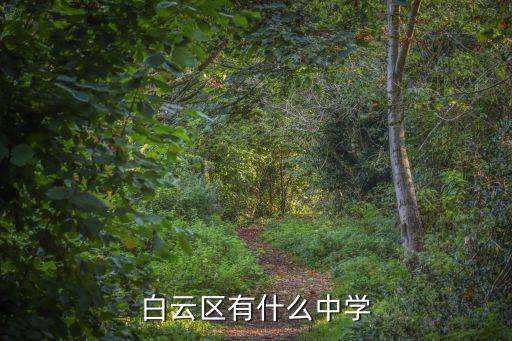 白云區有什么中學