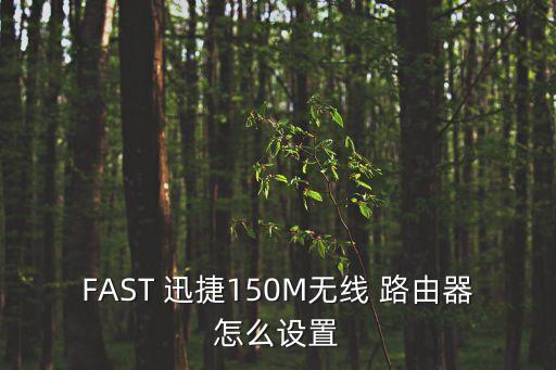 FAST 迅捷150M無線 路由器怎么設置
