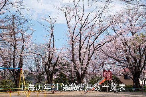 上海市歷年社會(huì)保險(xiǎn)繳費(fèi)基數(shù)，上海社保繳費(fèi)基數(shù)