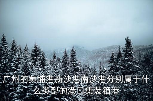 廣州的黃埔港新沙港南沙港分別屬于什么類型的港口集裝箱港